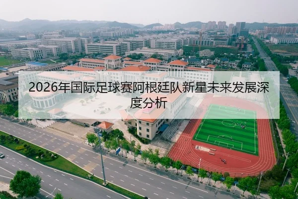 2026年国际足球赛阿根廷队新星未来发展深度分析